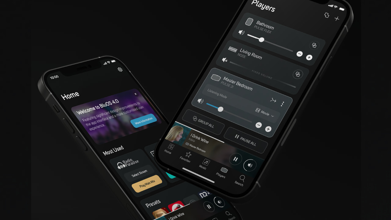 BluOS App 4 Screenshots
