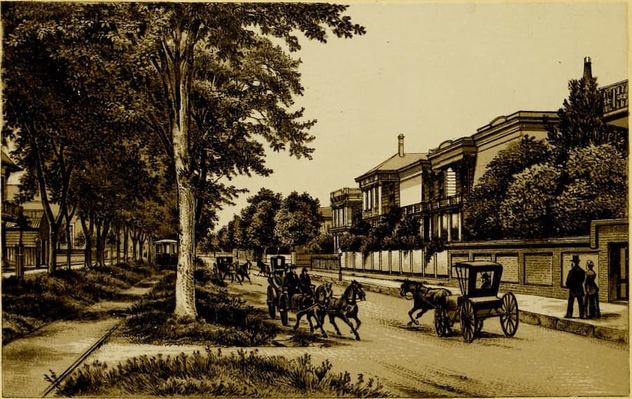Esplanade Street in New Orleans 1885
